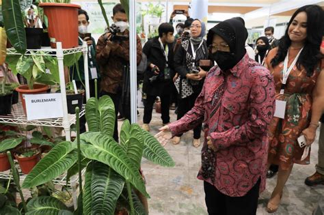 Mensos Risma Buka Mata Pemuda Soal Potensi Bisnis Tanaman Hias