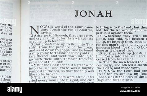 Jonah bible Stock Videos & Footage - HD and 4K Video Clips - Alamy