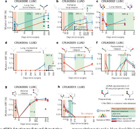 Figure 1 From Phylogenetic Ctdna Analysis Depicts Early Stage Lung Cancer Evolution Semantic