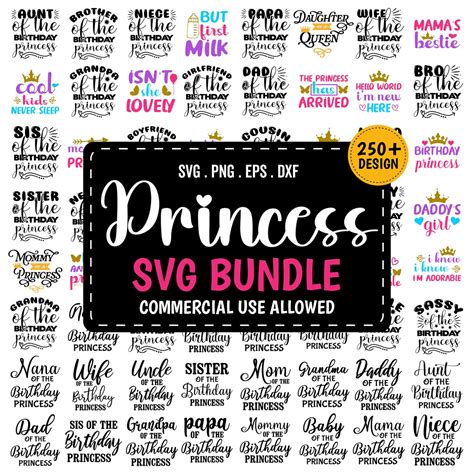 Geburtstags Prinzessin SVG Bundle Prinzessin Prinzessinnen SVG