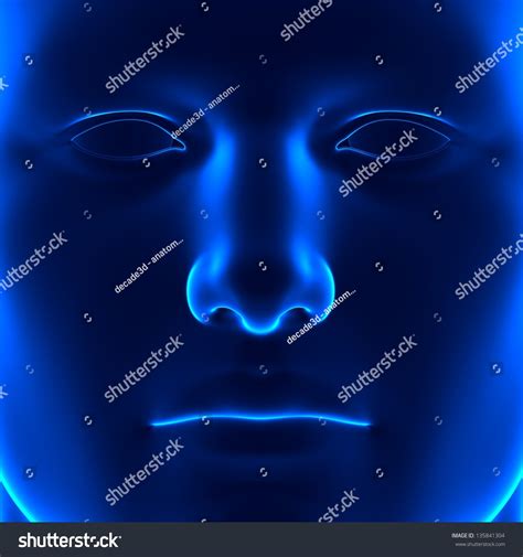 Anatomy Face Front View Blue Concept Stock Illustration 135841304 ...