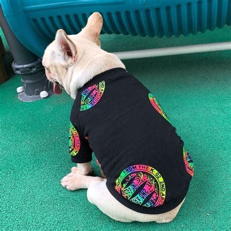 Dog and Human Matching Clothes – Frenchiely