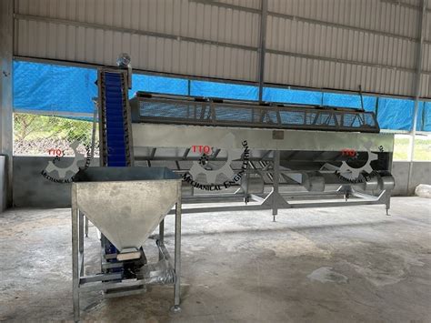 Cashew Nut Grading Machine Grader And Sorting Machines Precision