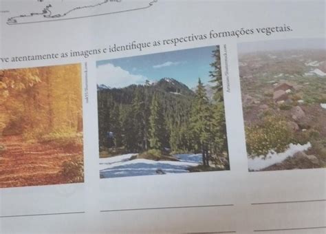 Observe atentamente as imagens e identifique as respectivas formações