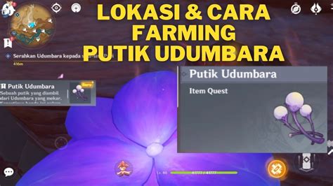 Guide Farming Putik Udumbara Genshin Impact Youtube