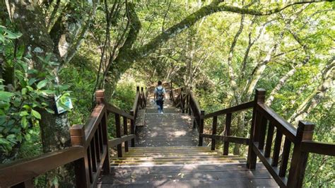 奧萬大國家森林遊樂區 南投縣景點國家公園及風景區瀑布森林步道首選 │ 食尚玩家