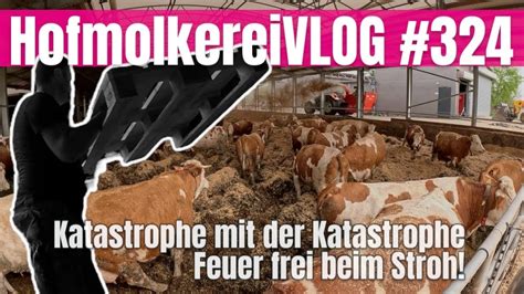 HofmolkereiVLOG 324 Katastrophe Mit Der Katastrophe Feuer Frei Beim