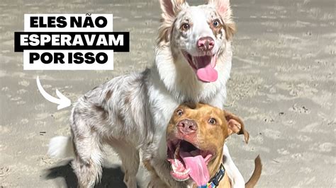 Vlog Um Fim De Semana Diferente Arrumamos Nossa Mala E Fizemos Uma