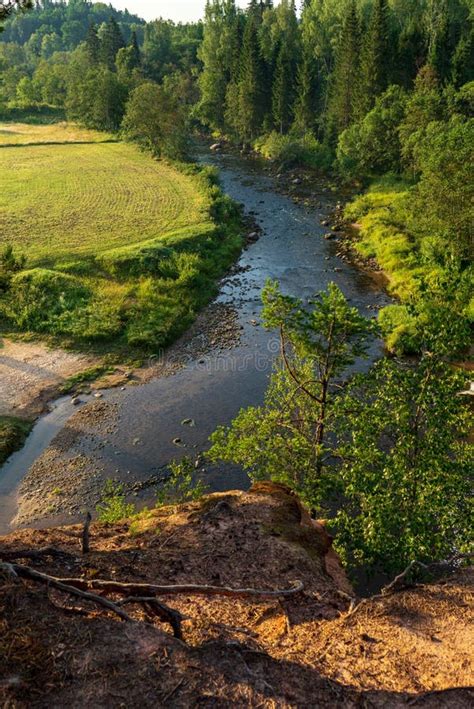 Corriente Del Agua En El R O De Amata En Letonia Con Los Acantilados De