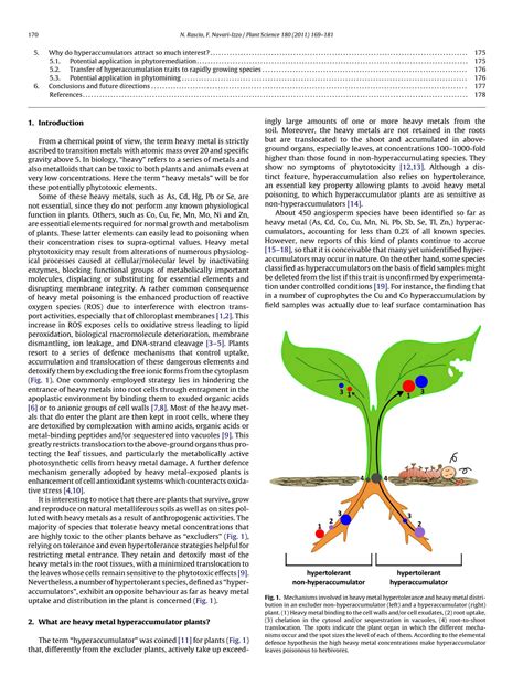 Solution Heavy Metal Hyperaccumulating Plants How And Why Do They Do