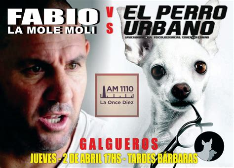 El Perro Urbano Las Reglas Del Juego