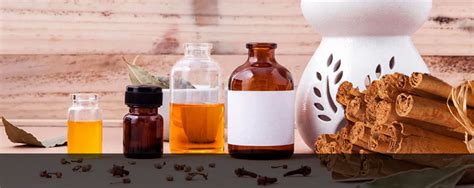 HEALTH BENEFITS OF PURE CEYLON CINNAMON – Ceylon Cinnamon Entices the World