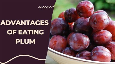 Plum Goodness 8 Types Of Plums To Add To Your Diet For Amazing Health