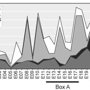 Distribution Of Germ Line And Somatic RB1 Mutations By Phenotype Of The