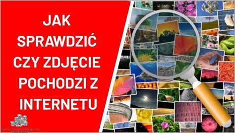 Jak Sprawdzic Czy Pit Jest Rozliczony Sprawd Teraz Stycze