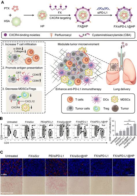 Cxcr Inhibiting Nanocomplex Relieved The Immunosuppressive Tme Of