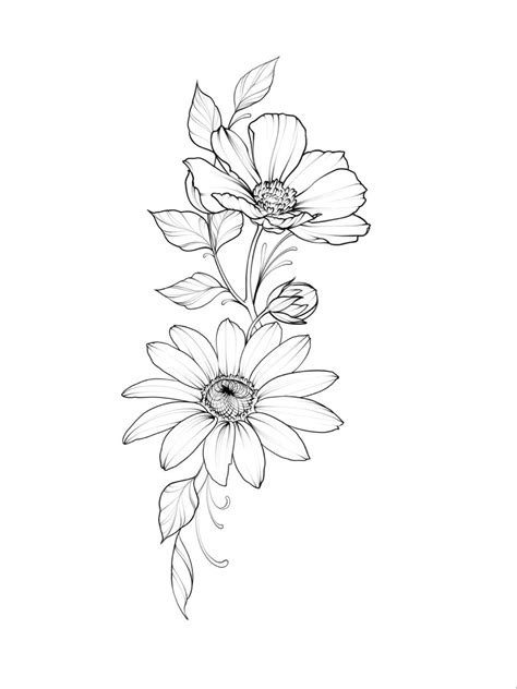 Simple Flower Outline Drawing