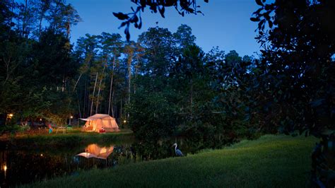 The Campsites at Disney's Fort Wilderness Resort