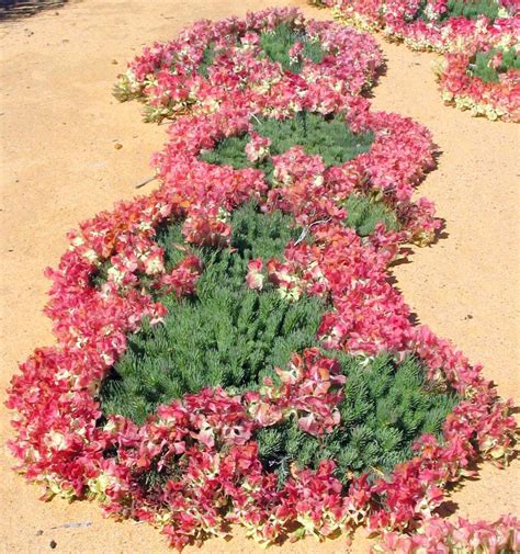 wreath flower visit perenjori
