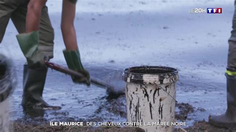 Île Maurice des cheveux contre la marée noire