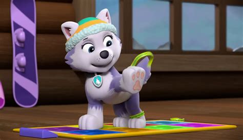 Everest Paw Patrol Photo 40716962 Fanpop