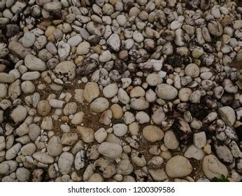 Rock Stone Texture Background Stock Photo 1200309586 | Shutterstock