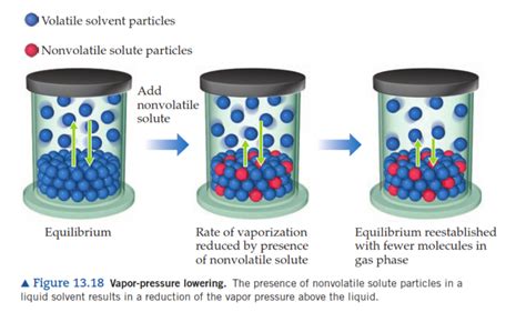 Colligative Properties Study Guide Inspirit