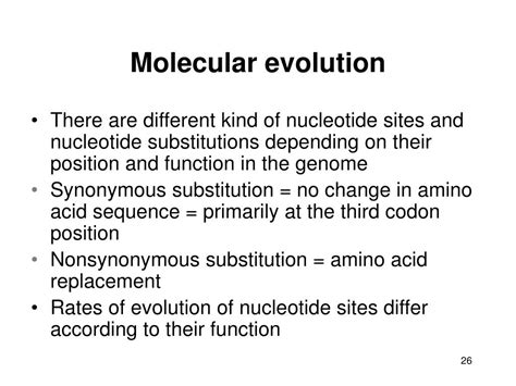 Ppt Molecular Evolution And Population Genetics Powerpoint