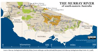 murray river wikipedia