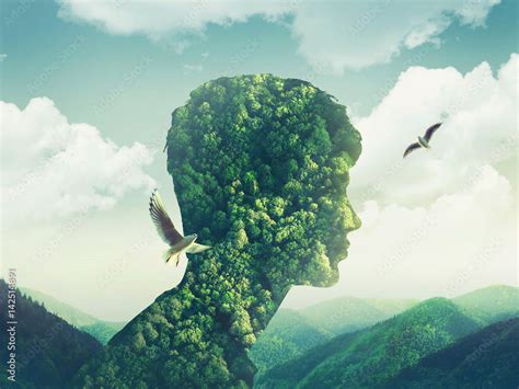 Creative Double Exposure Man Nature Sky Green Forest Stock Photo