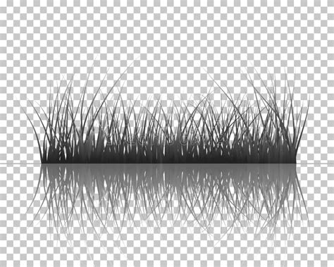 Grass On Water Stock Vector Illustration Of Growth Element 11355356