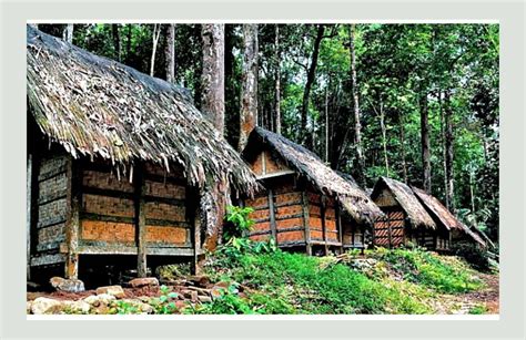 Gambar Rumah Adat Rumah Badui