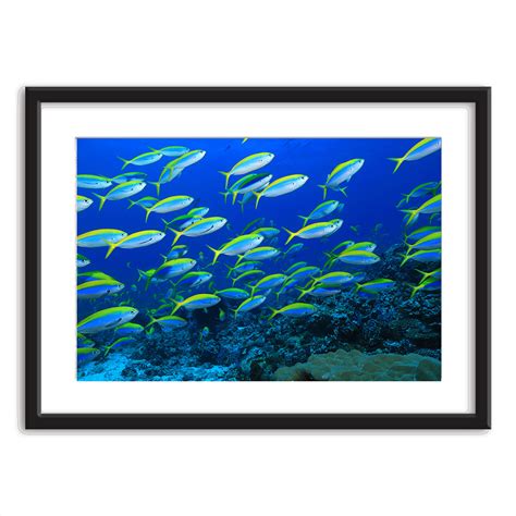 ocean art wall 6
