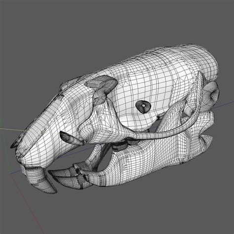 Rat Skull Animations 3d Model