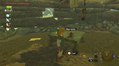 C Mo Conseguir Bayas Gneas En Zelda Breath Of The Wild