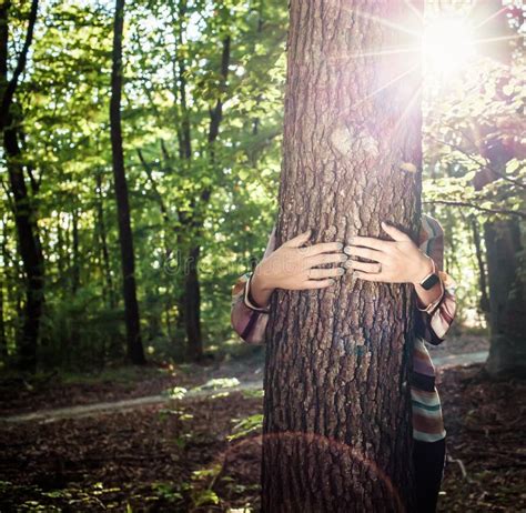 Las Mujeres Abrazan Un árbol Luchan Contra El Cambio Climático