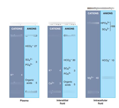 Chemical Composition Of Body Fluid Compartments Diagram Quizlet