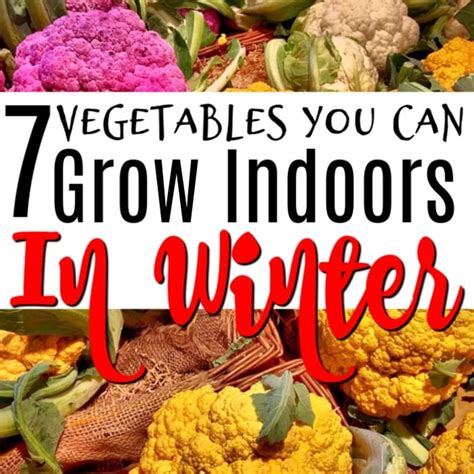 Vegetables You Can Grow Indoors In Winter