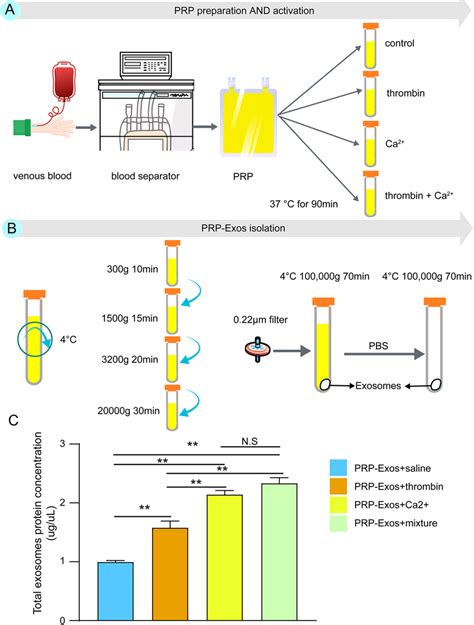 The Workflow Of Prp Exos Isolation Protocol Starting From Prp And