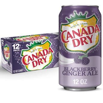 Canada Dry Blackberry Ginger Ale (12 fl oz) Delivery or Pickup Near Me ...