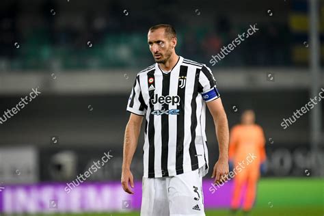 Giorgio Chiellini Juventus Portrait Editorial Stock Photo Stock Image