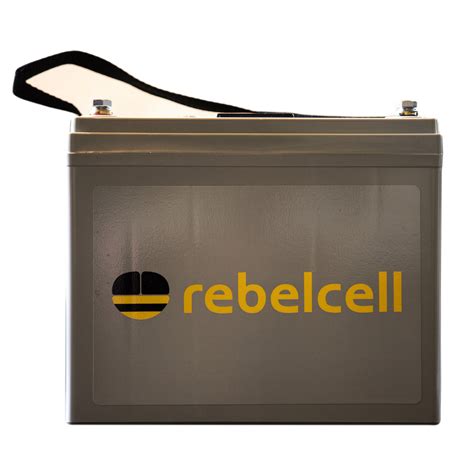 Rebelcell 24V50 Lithium Akku 12A Ladegerät Technik für Angler