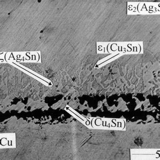 Microstructure Of The Sn 3 5 Wt Ag Cu Couple Reacted At 240C For 48