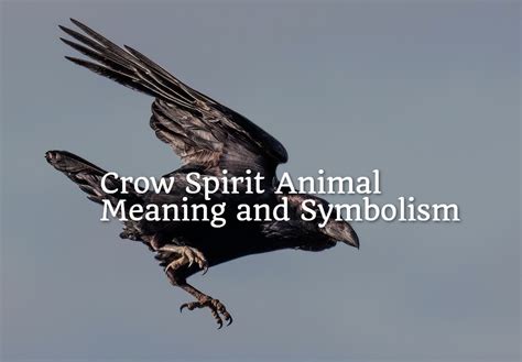 Crow Spirit Animal - Meaning and Symbolism - Spirit Animal Mysteries