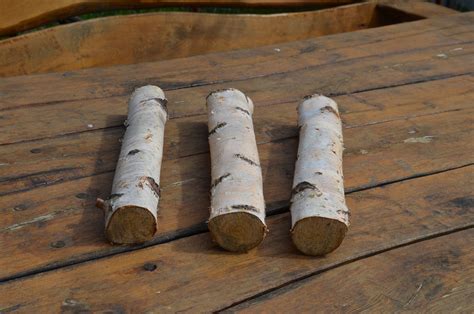 White Birch Logs 3 White Birch Logs Rustic Craft Supply Etsy