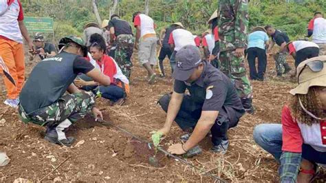 Inilah Apresiasi Warga Ketika Satgas Tni Rks Tanam Jagung Dan Cabai