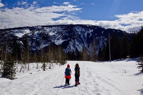 Guided Winter Wonderland Snowshoeing Adventure From Prague