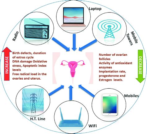 Possible Effect Of Non Ionizing Emr On Female Reproductive Health Download Scientific Diagram