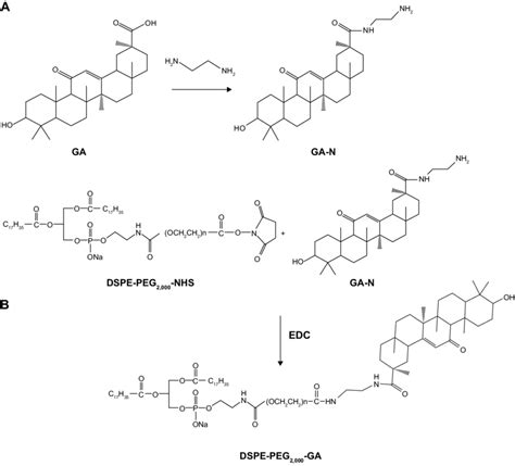 Synthesis Of Ga N A And Dspe Peg Ga B Abbreviations Ga N