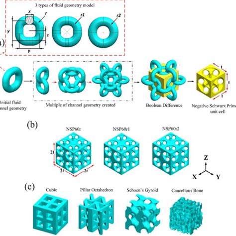 Schematic Illustration Of The Scaffold Design Stage A Process Download Scientific Diagram